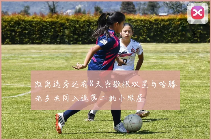 距离选秀还有8天密歇根双星与哈滕老乡共同入选第二批小绿屋