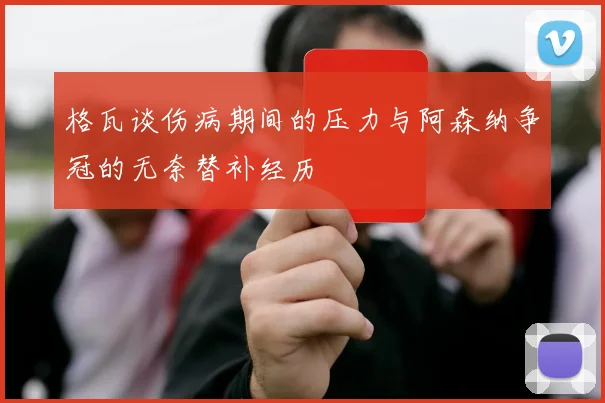 格瓦谈伤病期间的压力与阿森纳争冠的无奈替补经历